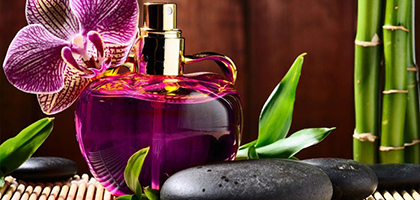 رایحه یا نت های بویایی انواع عطر و ادکلن